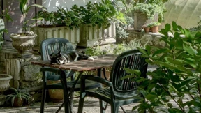 Endlich wieder raus – Die schönsten Outdoor Trends für Ihren Sommer 2021