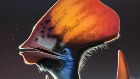 Der gefiederte Imperator