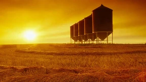 Alle Mann raus aus den Silos!