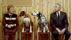 Wie alt ist mein Hund wirklich?