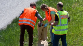 Fußballgroßer Stein durchschlägt Autoscheibe