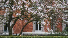 Sonne hier, Gewitter dort