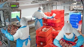 Tönnies darf kein Rinder-Riese werden