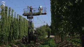 Wo das Bier am besten riecht