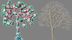  Verzweigte Moleküle für die solare Zukunft