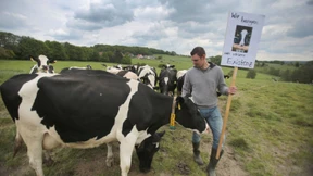 Ist Gabriel mitschuldig an Milchpreiskrise?