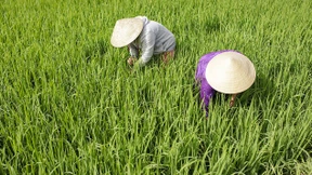 Wettlauf gegen die Zeit