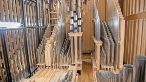 Sie leben von Luft und Liebe