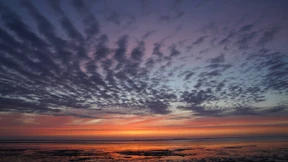 Der Stoff, aus dem die Pflichten sind