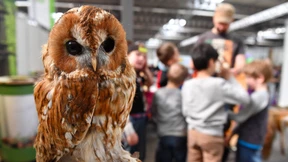 Union will Migranten-Grenze in Schulklassen