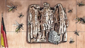 Der Erfolg des Bundesverfassungsgerichts