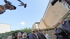 Die Botin neuen Sinns