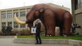 Die Hybris der Ranker