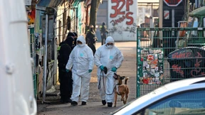 Wie Fische im Wasser