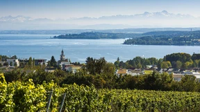 Dieses Eigenheim war zu teuer