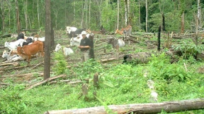 Wider die Natur, alles fürs Klima 