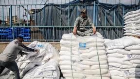 Die UN sind das Problem