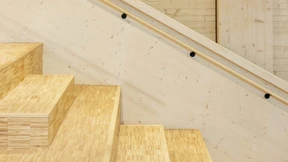 Baukunst als Baumkunst