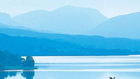 Nachtseiten des Lebens 