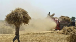 50,2 Grad – im April!