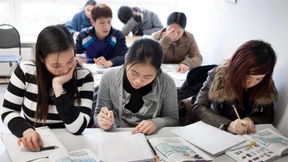 Bloß nicht zu viel Integration 