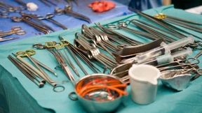 Eine Frage des Überlebens