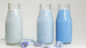 „Was diskriminierend ist, bestimmt nicht das Unternehmen“