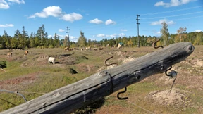 Fördert der Klimawandel Russlands Landwirtschaft?