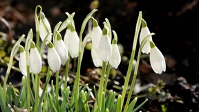 Dieser Winter war der zweitwärmste in Deutschland