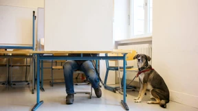 Indolenz, Differenz, Konkurrenz