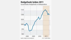 Zweitschlechtestes Jahr für Hedgefonds
