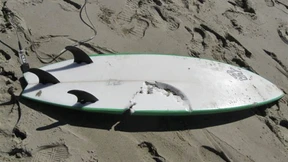 Junger Surfer stirbt bei Hai-Attacke