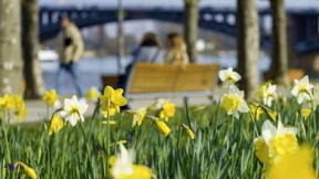 „Bestes Wetter für einen Spaziergang“