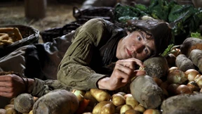 Und im Wald verschwinden die Menschen