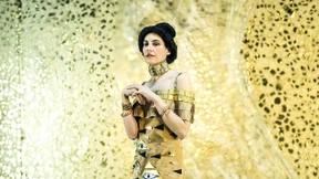 Blumen aus dem Nichts