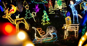 Stille Nacht, dunkle Nacht?