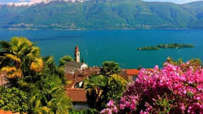 Kameliendamen und Sexualbolschewisten