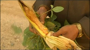 Südkorea hilft Nordkorea