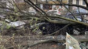 Es bleibt windig in Deutschland