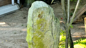 Hinkelstein im Schrebergarten vergessen