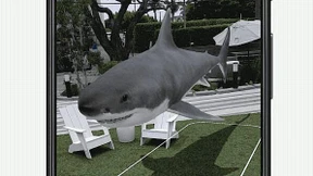 Was macht eigentlich der Weiße Hai auf der Bühne?