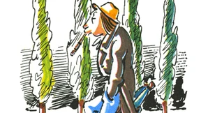 Ohne Groll kein Troll