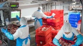 Tönnies bietet Rückzug im Kampf um Vion-Schlachthöfe an