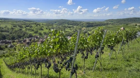 Selbst die renommiertesten Lagen will niemand mehr haben