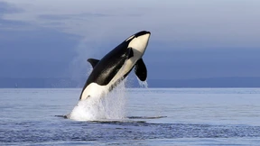 Warum Oma die Allergrößte ist