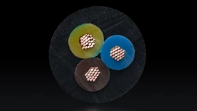 Mit Anreizen gegen die Stromrationierung