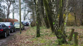 Hamburger Nobelviertel wehrt sich gegen Flüchtlingsunterkunft