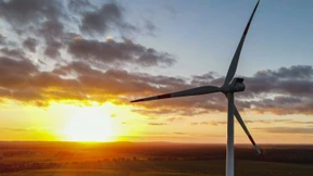 Eine Frage der Farbe?