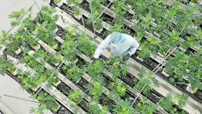 „Eine GroKo wäre die schlechteste Option“