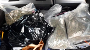 Fahnder stellen mehr als 55 Kilogramm Drogen sicher